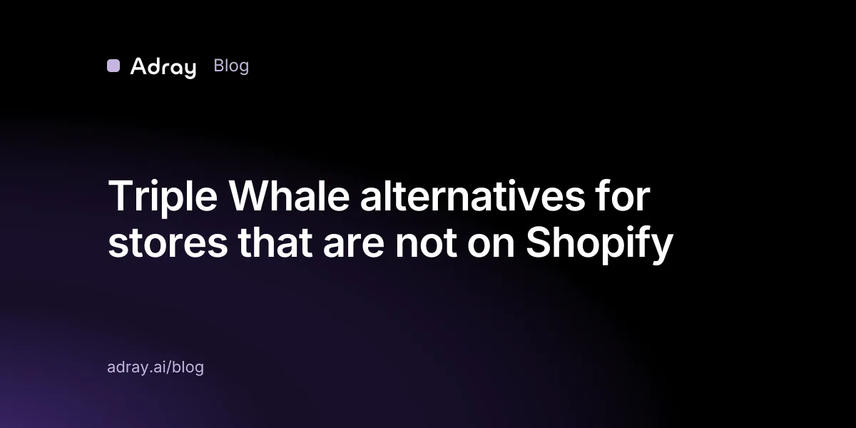 Triple Whale alternatives for stores that are not on Shopify